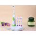 Rotary Battery Toothbrush for Teeth Whitening with 4 Brush Heads Oral Hygiene Dental Care Accessories for Oral Care (green) - Buy Online on GoSupps.com