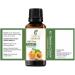 Apricot Kernel Seed Oil 100% Pure Natural - Cold Pressed Carrier Oil for Massages & Aromatherapy | Unisex Skin Care (1.01 Fl. Oz) - Buy Online on GoSupps.com