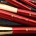 Ducare 10-Piece Professional Makeup Brush Set with Cosmetic Bag | Premium Synthetic Kabuki & Eye Brushes for Flawless Blending - Buy Online on GoSupps.com