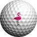 Golfdotz | Golf Ball Markers, Golf Accessories, Golf Ball Identity Marker Flamingo