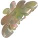 Hair clips Claw Clips 1 Pc Hair Claw Flower Hair Clips Large Claw Clips Fashion Hair Accessories For Women-C(A) - Buy Online on GoSupps.com