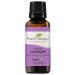 Plant Therapy Organic Lavender Essential Oil 100% Pure, USDA Certified Organic, Undiluted, Natural Aromatherapy, Therapeutic Grade 30 mL (1 oz) Lavender 1 Fl Oz (Pack of 1)