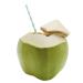 Wilderness Poets Instant Coconut Water Powder 4 oz - Freeze Dried Hydration - Buy Online on GoSupps.com