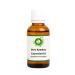 R V Essential Pure Bamboo Essential Oil 30ml (1.01oz)- (100% Pure and Natural Steam Distilled) Bamboo 1.01 Fl Oz (Pack of 1)