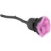 Nail Brush Pink Pink Cleaning Brush for Nails Brush for in (Black) - Buy Online on GoSupps.com