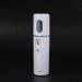 Jalzdieod 3X Steamer Nano Steamer Handy Mister Mist Moisture Face Sprayer Rechargeable USB Charging (White) - Buy Online on GoSupps.com