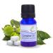 SVATV essential apricot oil nuclear oil for natural yoga massage therapeutic quality and freshener diffuser aromatherapy DIY body care-10 ml camphor