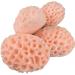 Exfoliating Natural Hair Sponge: Dead Skin Remover & Body Cleanser - Buy Online on GoSupps.com