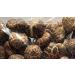 Dried Flower Shitake Mushrooms 400g - Buy Online on GoSupps.com