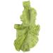 PATKAW Lettuce Hair Clip Vegetable Hairpin Realistic Cabbage Costume Headpiece Spa Face Wash Hairband Novelty Dress Up Hair Accessories Funny Hat - Buy Online on GoSupps.com