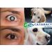 Cataract Clear 2 x 0.35fl oz Bottles | N-Acetyl-Carnosine | Chemical Additive Free | People & Pets Holistic - Buy Online on GoSupps.com