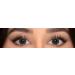 Bella Diamonds Colored Contact Lenses WOOD Leaf - Dark Gray Monthly Lenses for Dark Eyes | Strong Coverage Natural Look | 1 Pair (Dioptria -0.00) - Buy Online on GoSupps.com