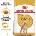 Royal Canin Poodle Adult | Double Pack | 4 x 500 g | Dry food for Adult Poodle | to Support Coat and Muscle Tone | for Dogs from 10 Months - Buy Online on GoSupps.com