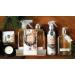 Natural Plant-Based Surface Cleaner - 14 oz White Spruce | Eco-Friendly Household Cleaner for Effective Cleaning - Buy Online on GoSupps.com