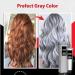 Silver Gray Hair Dye Cream Light Gray Silver Color Cream Dye Hair Gray Color Smokey Grey Permanent Hair Dye Silver Gray Natural Hair Dye Cream Silver Gray Hair Dye Unisex Silver Hair Dye - Buy Online on GoSupps.com