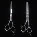Shop 6 Inch Stainless Steel Hair Cutting Scissors & Thinning Shears - Professional Salon Quality for Perfect Haircuts | International Shipping Available - Buy Online on GoSupps.com