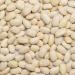 Organic Haricot Beans 2kg - Vegan, GMO-Free, Dried & Certified Organic - Buy Online on GoSupps.com