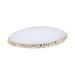 Didiseaon Palette de M lange pour Ongles Blanc avec Bord Dor Plateau de Peinture Nail Art pour Salon et Usage Professionnel Outil Pratique pour Cr ation de Couleurs Uniques