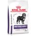 Royal Canin Canine Large Breed Adult Veterinary Diet Dry Dog Food - 13kg - Buy Online on GoSupps.com