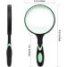 Large 10X Handheld Magnifying Glass for Seniors & Kids - 100MM Real Glass Lens for Reading, Insect Observation, Science - Green - Buy Online on GoSupps.com