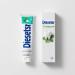 Diesetsr Clean Mint Toothpaste Fresh Flavor Pack of 2 Portable Travel Cleaning Supplies