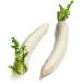 Fresh Mulli Vegetable | 2Pieces | Radish | 100% Fresh Vegetable | Indian Origin Next Day Shipping By Seelans - Buy Online on GoSupps.com