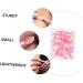 SOESFOUFU 50pcs Double Ended Eyeshadow Brush Eyeshadow Sponge Stick Eye Shadow Brush Makeup Pink Plastic - Buy Online on GoSupps.com