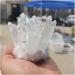 Crystal Rough Natural Crystal Rough Natural White Transparent Crystal Cluster Stone ore Specimen demagnetization Stone Purification Ment Stone decoratio (Size : 600-700g) - Buy Online on GoSupps.com