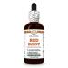 Hawaii Pharm Red Root Alcohol-Free Extract Glycerite for Heart and Lymphatic Wellness Promotes Digestive Comfort Aids Detoxification Supports Gut Balance and Nutrient Absorption - 2 fl.oz 2 Fl Oz (Pack of 1)