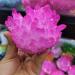 Home Decor 300-400g Electroplated Natural Crystal Cluster Specimen Raw Rock Quartz Flowers Aura Stones Gift Modern House Decor Gifts Natural Crystal Draw yuebang Reiki Crystal Stone - Buy Online on GoSupps.com