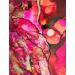 Alcohol Ink Paper 25 Sheets - Pixiss Heavy Weight Synthetic Paper for Alcohol Ink & Watercolor - A4 8x12 Inches - 300gsm - 1 Pack - Buy Online on GoSupps.com