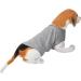 Beautyhe Dog Coat - Anti-Stress Vest for Dogs | Medical Recovery Suit & Calming Jacket - Light Gray Size 31 - Buy Online on GoSupps.com