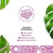Rio Rosa Mosqueta Oil 50ml - Organic Rosehip Seed Oil for Skin Repair (1-Pack) - Buy Online on GoSupps.com
