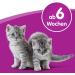 WHISKAS Cat Milk 200ml - Supplementary Feed for Cats & Kittens Over 6 Weeks | International Shipping Available - Buy Online on GoSupps.com