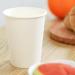 RACETOP 12 oz Disposable Paper Coffee Cups - 100 Pack, White Hot Coffee Paper Cups - Thickened Paper, 100 Count - Buy Online on GoSupps.com