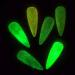 6 Grids Ultrafine Glitter Glow Luminous Nail Art Powder - Glow in The Dark - Buy Online on GoSupps.com