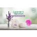 BeNat Vegan Deodorant Cream - Artisanal & Natural for Women Men & Teens | Lavender & Geranium - Safe & Effective Ingredients - Buy Online on GoSupps.com