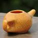 Ancient Impex Ceramic Neti Pot (270 ml) + 5 Neti Salt Sachets | Natural Sinus Relief - Orange Crackle Pattern - Buy Online on GoSupps.com