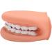 Mouth Hand Puppet - Educational Dental Care Model with Tongue for Children s Learning - Buy Online on GoSupps.com