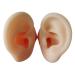 Tofficu 1 Pair Ear Picking Model Silicone Tunnels for Ears Simulated Ear Model Practice Ear Silicone Ear Display Ear Mold Auditory Meatus Model Artificial Display Ear Model Silica Gel