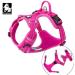 Truelove No Pull Dog Harness - Reflective Adjustable Soft Padded Vest with Handle - TLH56512 XL Fuchsia | International Shipping - Buy Online on GoSupps.com
