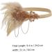 FRCOLOR 1920s Flapper Headpiece 1920s Flapper Headband Rhinestone Hair Band Headpiece Head Accessories Party Headband Champagne - Buy Online on GoSupps.com