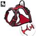 Truelove No Pull Dog Harness | Reflective & Adjustable Soft Padded Pet Vest | TLH56512 L Red - Perfect for Comfortable Control - Buy Online on GoSupps.com
