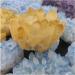 Crystal Rough 1pcs300-700g Big Size Natural Citrine Quartz Geode Druzy Topaz Crystal Cluster Specimen Home Decoration DIY Crafts Feng (Size : 400-500g) - Buy Online on GoSupps.com