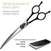 Fenice Peak 7.5 Professional Dog Grooming Scissors Set - Stainless Steel Shears for Pet Grooming Services - 4pcs Combo Set - Buy Online on GoSupps.com