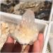 Beautiful Natural Clear Quartz Crystal Cluster Point Specimen Gift HOMEZHOU - Buy Online on GoSupps.com