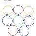 Sensory Training Hoops Free Combination Hopscotch Hoop Plastic Material Multipurpose 10PCS with 10 Buckles for Jumping Activities Dia 47cm / 18.5in - Buy Online on GoSupps.com