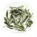 LWXLJMJZC 100% Natural White Peony Tea - Bai Mu Dan (Bai Mu Tan) - 50g - World's Healthiest Tea - Buy Online on GoSupps.com