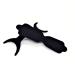 Angzhili Silicone Dental Orthodontic Photography Contraster - Bendable Intraoral Black Background Board (C1) - Buy Online on GoSupps.com