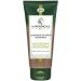 La Proven ale Bio - Le Gommage de Puret Nettoyant - Huile d'Olive Bio AOP Provence et Noyaux d'Olive certifi Cosmebio - Pour Peaux Mixtes - 100 ml 100 ml (Lot de 1)